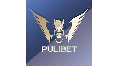 Pulibet erişim ve platform kullanım süreci rehberi